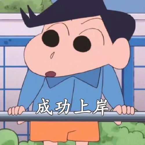  蜡笔小新新年愿望表情包