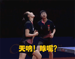  表情包地表最强未解之谜,丁宁小胖追问球去哪了