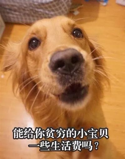 马宝国闪电五连鞭表情包
