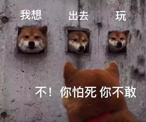  这是一被禁闭的日子,也是一段被解放的时光