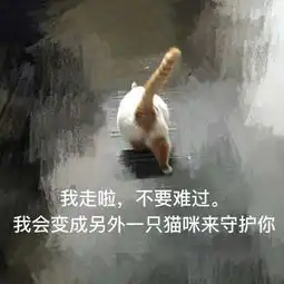  无论什么时候,请记住它,我们永远的楼楼