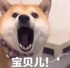  抖音热门表情包我要你给我充电我没电了你是我的充电宝
