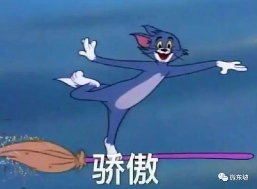  麻辣风趣说东坡哪个年少没臊皮过改联立志就好