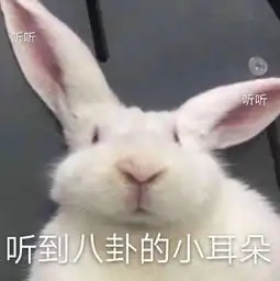 糟糕你绝对想不到会发生这种事  糟糕你绝对想不到会发生这种事