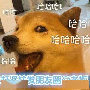  36.5厦门连续七天高温,排名历史第二这笔钱你领到了吗