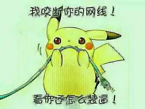  顺着网线来打我表情包