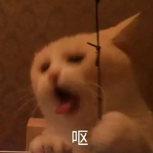  黄奕用自己的情史谱写了一部鉴渣实录