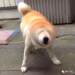  这样的表白礼物没有女生会拒绝吧