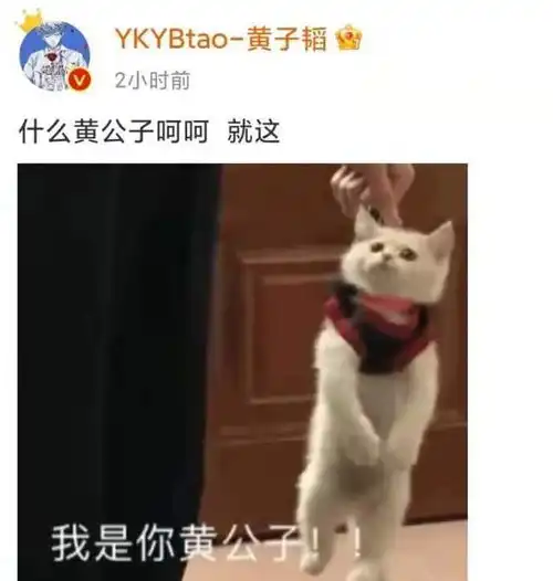  黄子韬被孙红雷拎走后,发表情包调侃什么黄公子,呵呵,就这