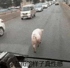  抖音表情包哈哈哈哈哈我来啦