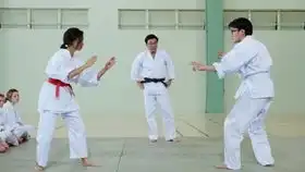 逃学威龙2表情包柔道