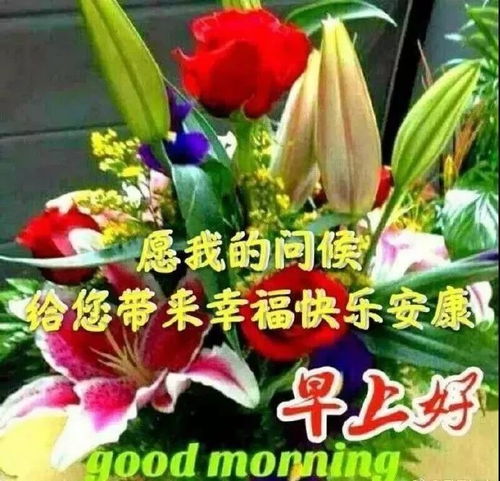  清晨问候早上好带鲜花动态图片带字,唯美早上好问候语表情图片