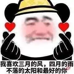  单身久了,看啥都像爱情