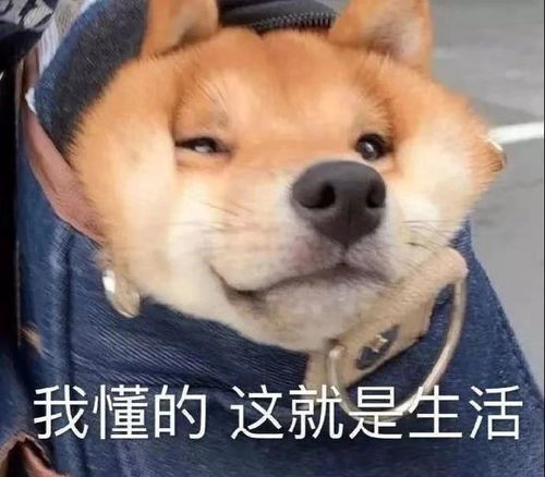  就为集个五福,竟然还有这些沙雕操作