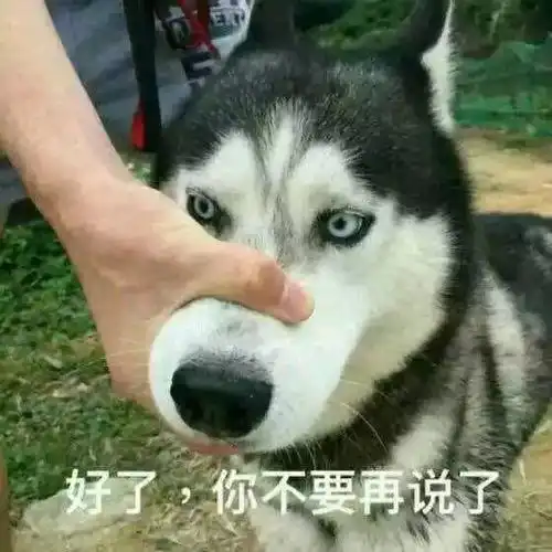  这是一双即将刷爆你朋友圈的山寨airforce1内有福利