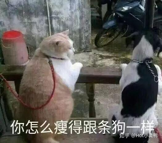  王者荣耀史上最不公平新版本红方开局输一半蓝方开局优势局,65能获胜