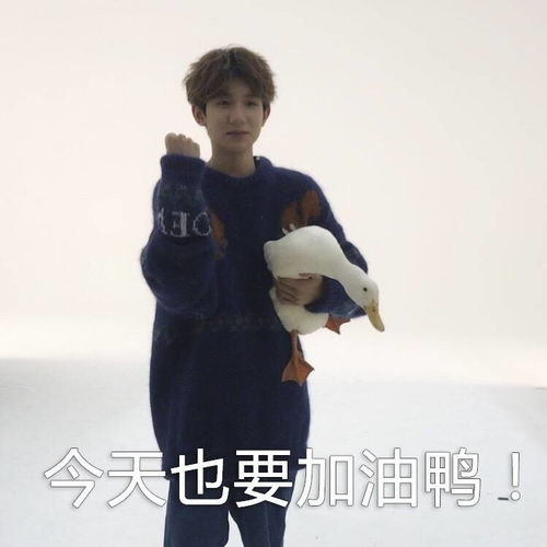  皮系爱豆王源再上线亲演鬼畜冲鸭表情包