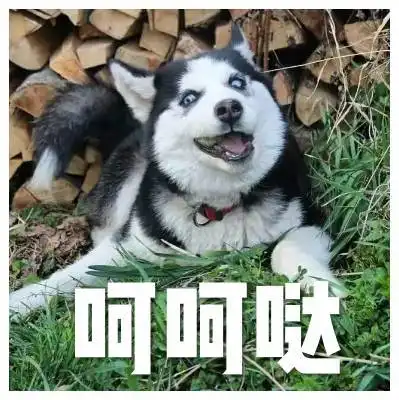  你的期望薪资是多少答不好就黄了