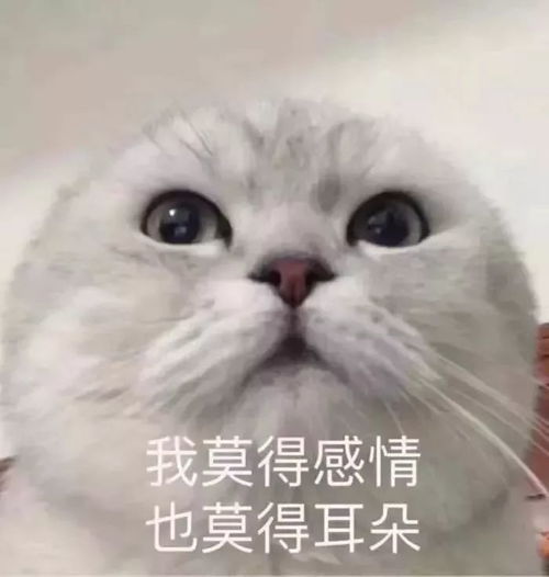  互删吧,你在朋友圈问了183次处不处对象结果却...哈哈哈截图笑到打鸣
