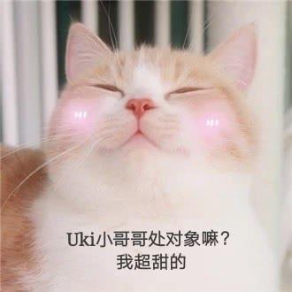  表情包软萌猫咪撒娇卖萌系列软妹必备