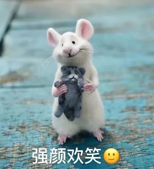  2020快收下这些鼠年表情包