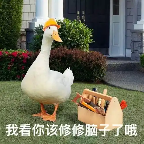  鸭鸭表情又来啦快来收图了鸭