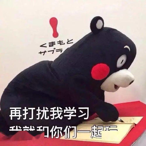  帮推招新啦这篇推文要标题,更要你