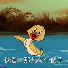  猫和老鼠表情包第六期最后一期啦高清无水印