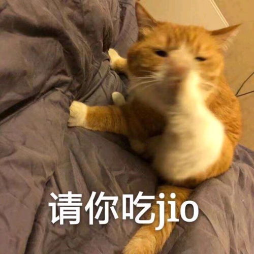  沙雕表情包l害当个美少女可真难啊