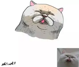  这位灵魂画手,把猫主子们都画成了超搞笑的表情包真是笑skr人