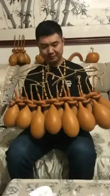  看看这创纪录的葫芦,有没有像保龄球那种感觉这下可有的忙了