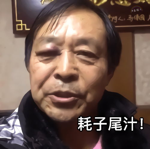  从武学宗师到网络红人,马保国老师其实是个聪明人