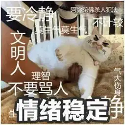 愿你在喵星永远幸福  愿你在喵星永远幸福