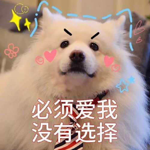  可爱沙雕微信表情包