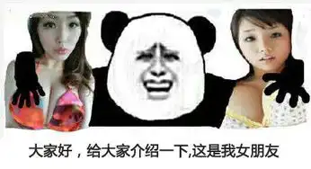  大家好,给大家介绍一下,这是我女朋友斗图啦表情包