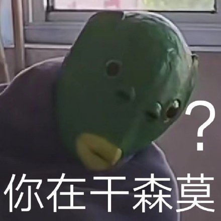  火爆的绿头龟表情包
