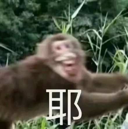  可爱沙雕表情包成年人除了疲惫还剩下什么