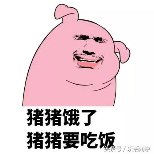 猪表情包动图七彩