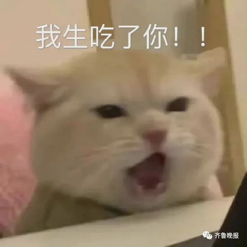  毕业拨穗现场,我猜到了开头,没猜到结尾