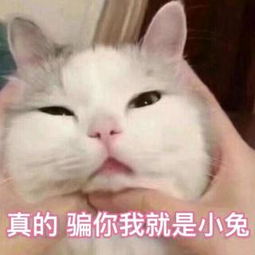  在线收听ae夜雨的播客荔枝