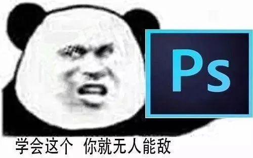 吃薯片的表情包熊猫
