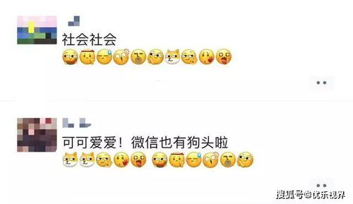 微信吃瓜表情包是什么意