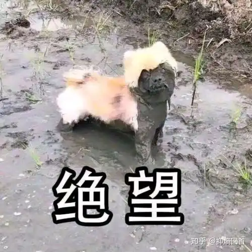 修正的痘肌修护柚子凝胶好用吗 修正的痘肌修护柚子凝胶好用吗