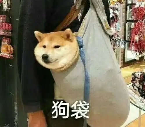 柴犬带字表情包搞笑