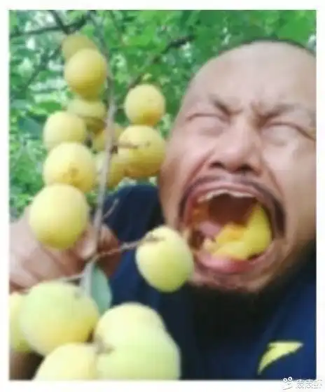  笑死人不偿命桃子有多甜看我表情就知道