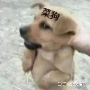  狗狗绝育多少钱,术后护理有什么注意事项