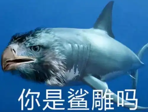 在线表情包沙雕工科类专