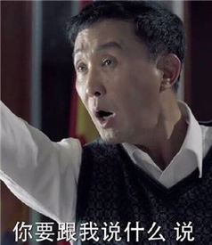  李达康表情包无水印2017最新版人民的名义达康书记表情包火了