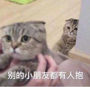  e句话看天下丨黄子佼都结婚了,今天结婚生子的人也太多了吧