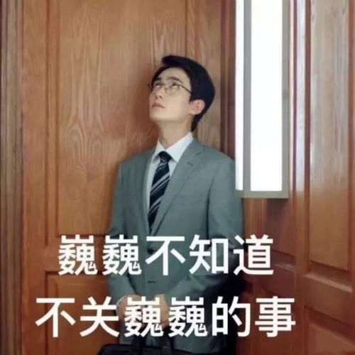 红遍全网的流浪汉沈大师真实身份曝光以前真的是公务员
